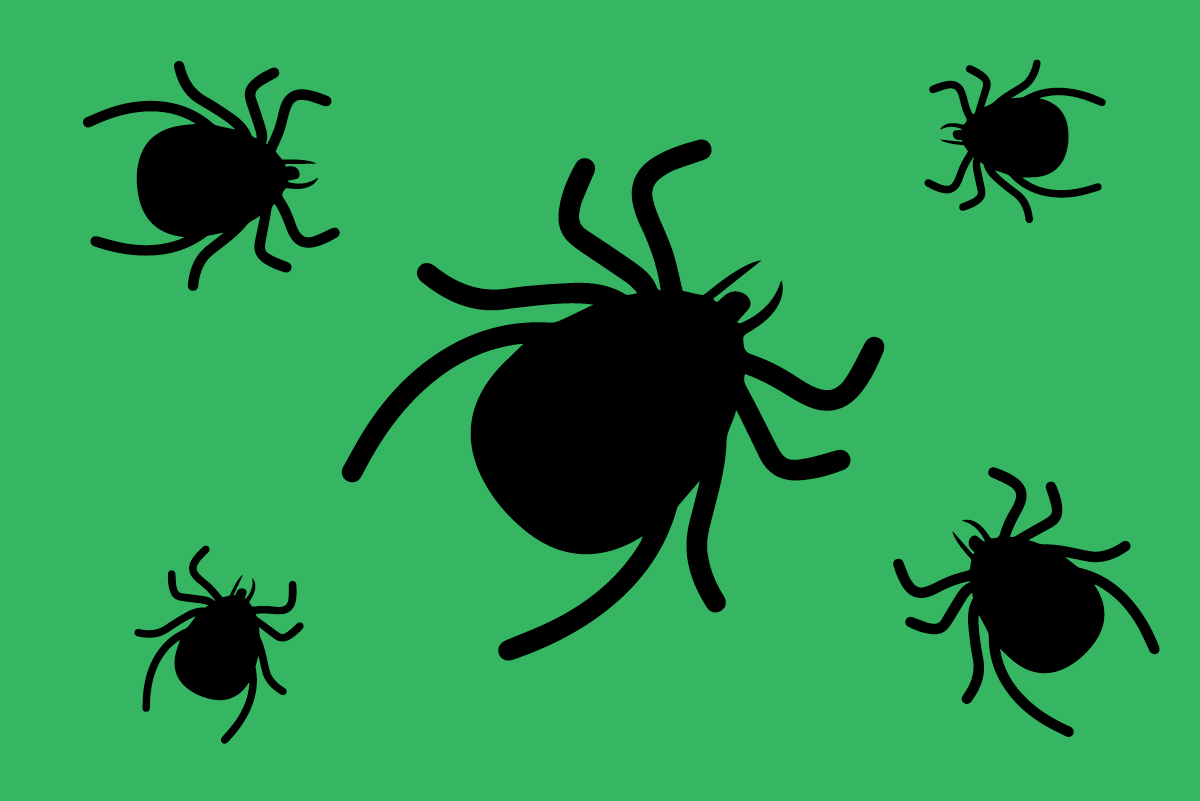 Ticks_hagerstown-pest-control